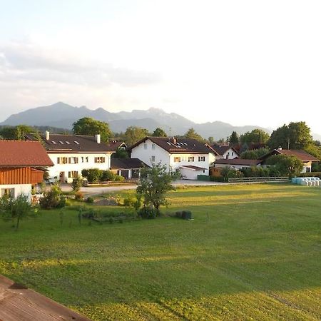 Thronvomchiemgau Apartment Übersee Екстериор снимка