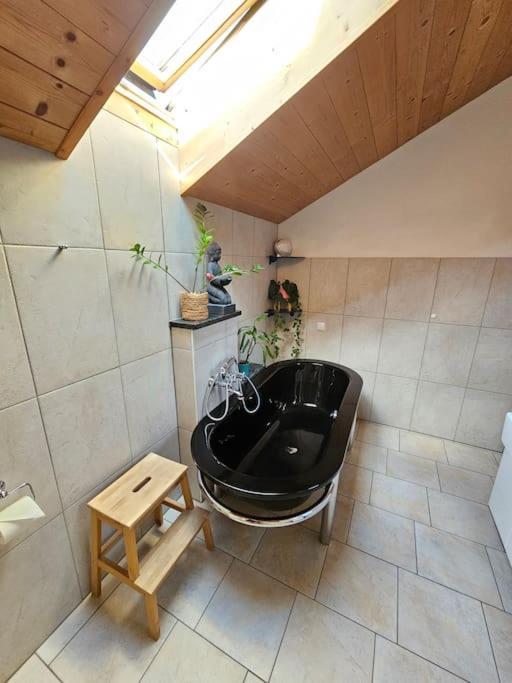 Thronvomchiemgau Apartment Übersee Екстериор снимка